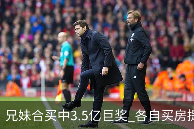 兄妹合买中3.5亿巨奖 各自买房提高生活质量